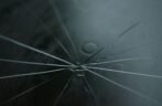 Windshield Repair vs. Replacement: A Pittsburgh Driver’s Guide